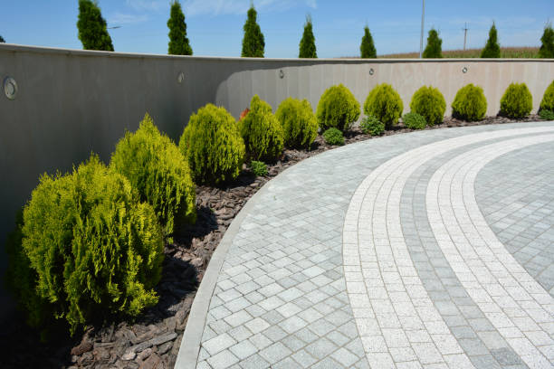 Best Driveway Repair Near Me  in Statesville, NC